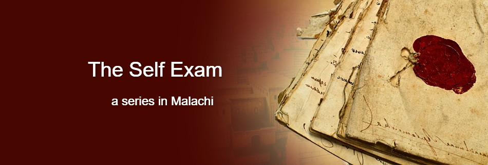 Old Book Website Banner